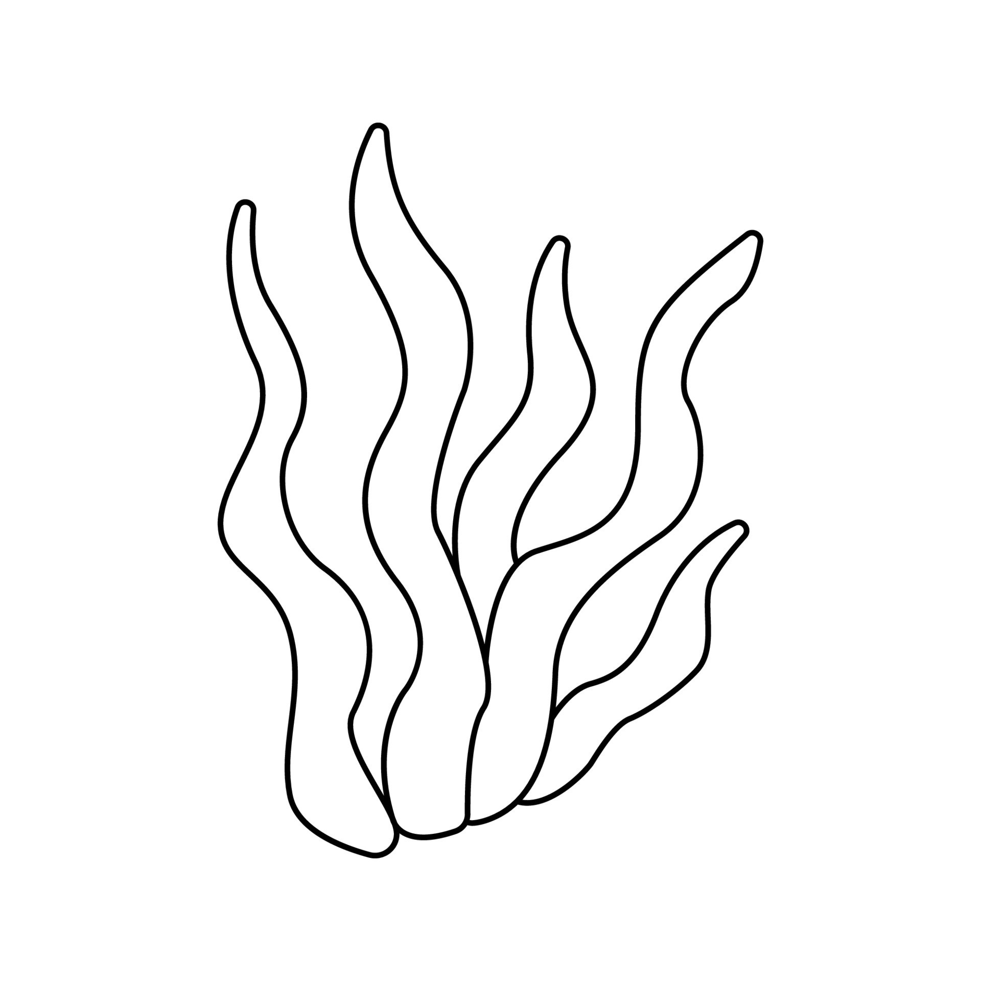 Vector illustration of Seaweed in doodle style. 24382005 Vector Art at Vector illustration of Seaweed in doodle style. 24382005 Vector Art at