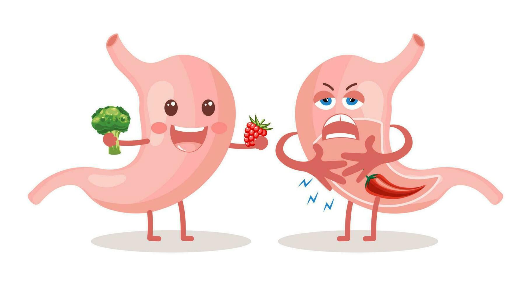 sano y insalubre humano estómago caracteres en dibujos animados plano estilo. sano dieta. nutrición, estómago dolor, hinchazón anatomía de el digestivo sistema. vector