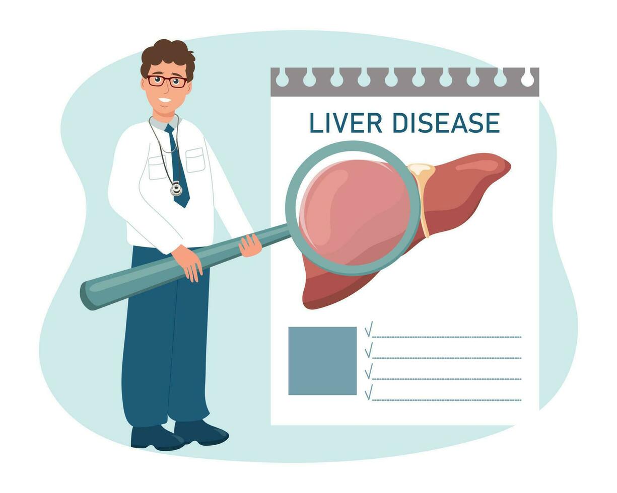 A male doctor with a magnifying glass studies diseases of the liver, digestive system. Medical healthcare concept. Vector