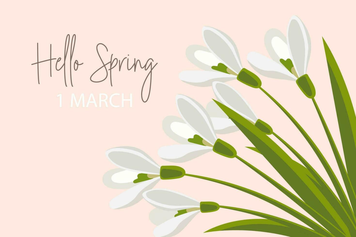 Bouquet of snowdrops on a pink background. Hello spring. Congratulation banner, postcard, poster, vector