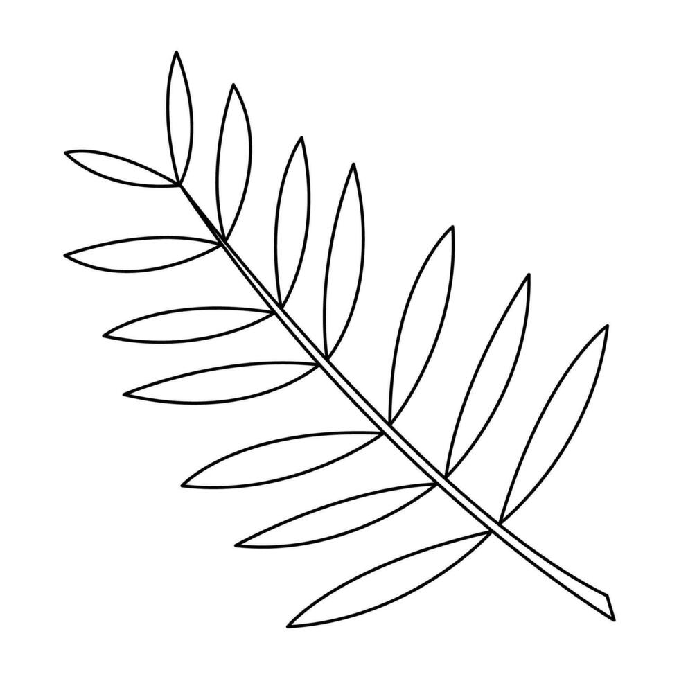 Palm leaf in doodle style5. Black and white vector illustration.