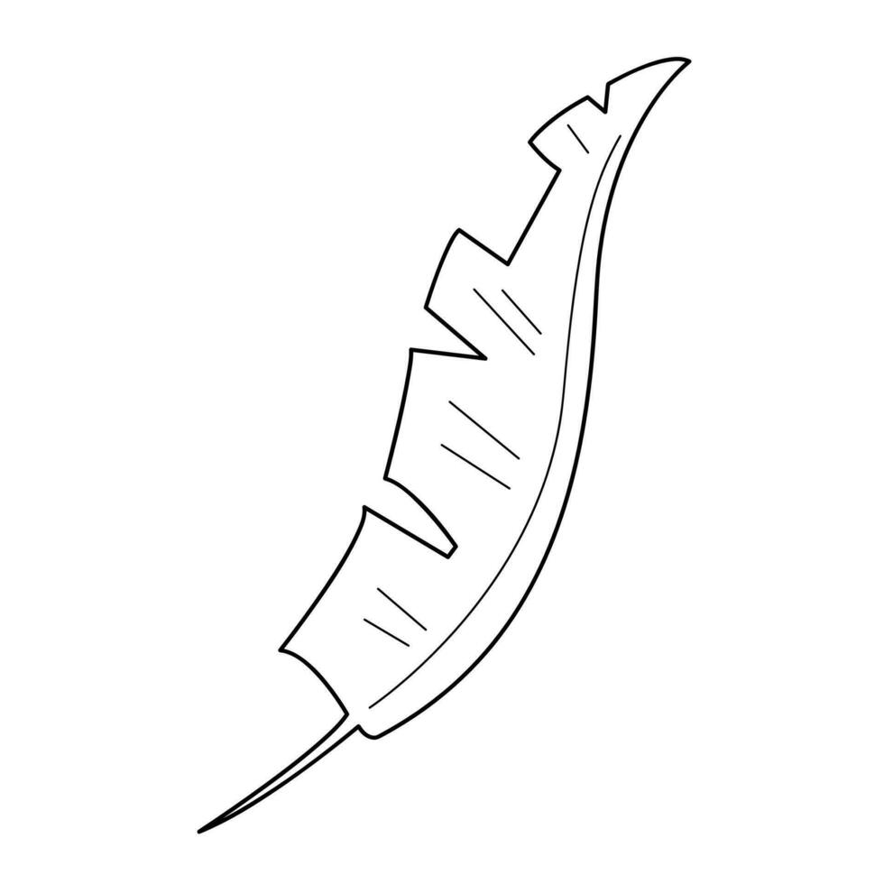 Palm leaf in doodle style10. Black and white vector illustration.