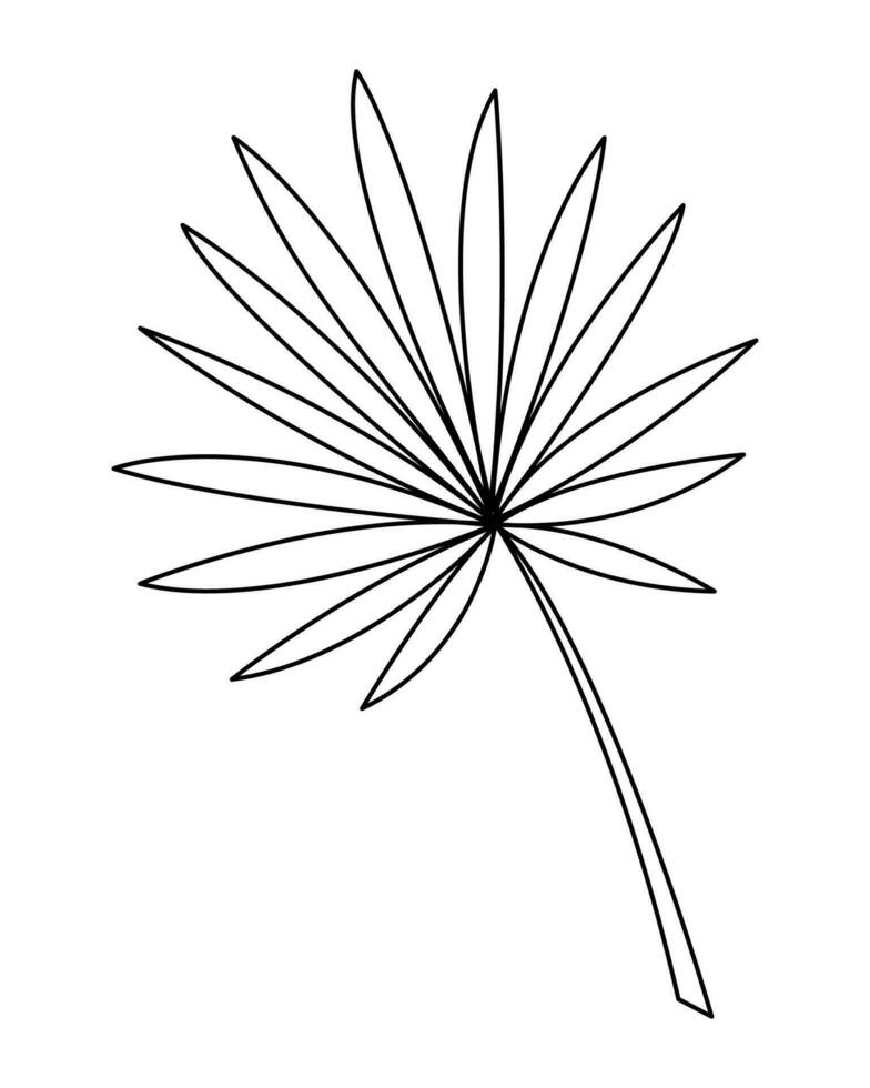 Palm leaf in doodle style2. Black and white vector illustration.