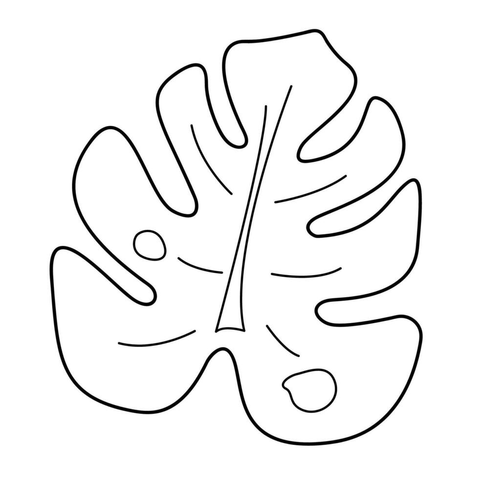Palm leaf in doodle style. Black and white vector illustration.