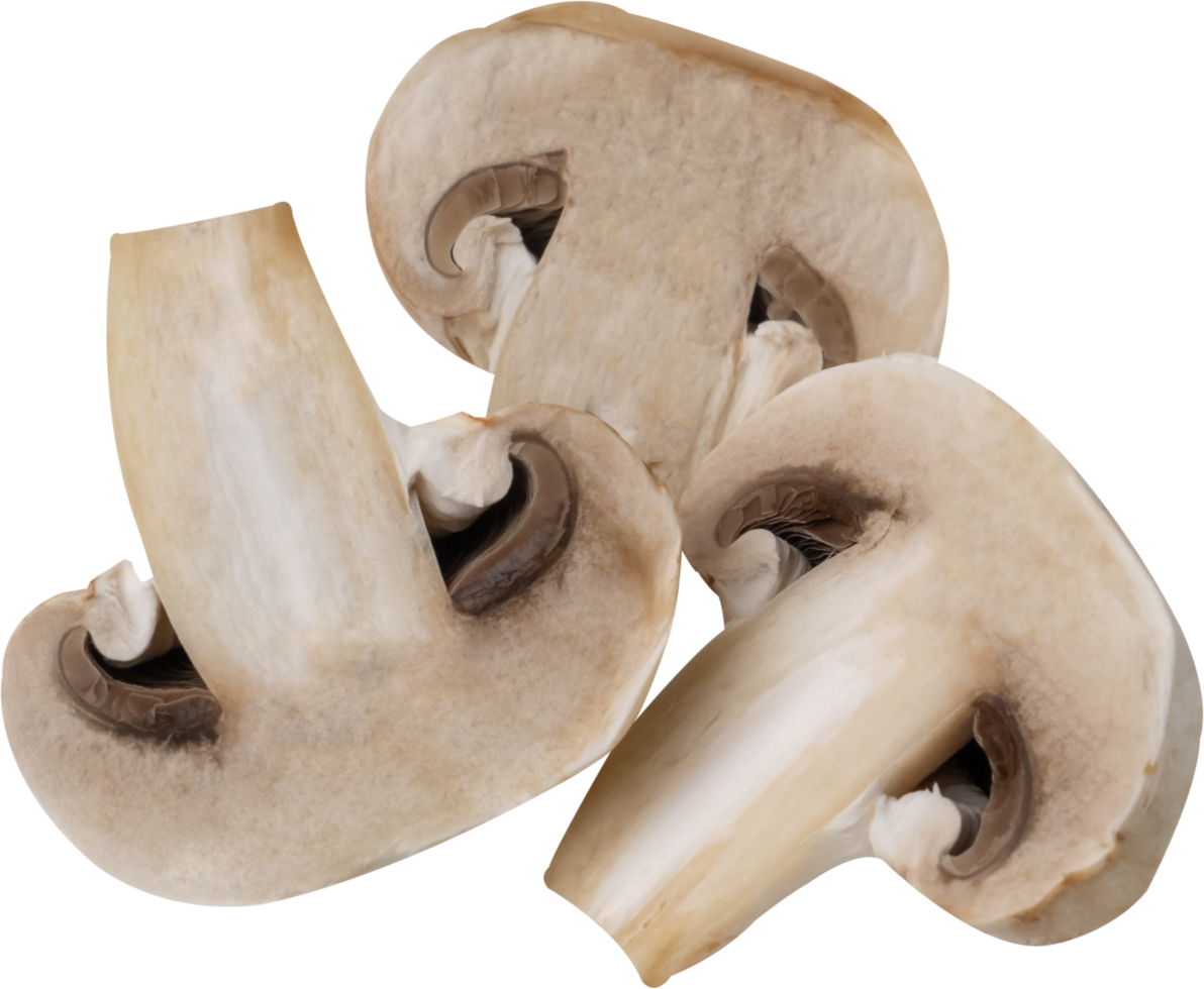 cremini mushroom cut out on transparent background. png