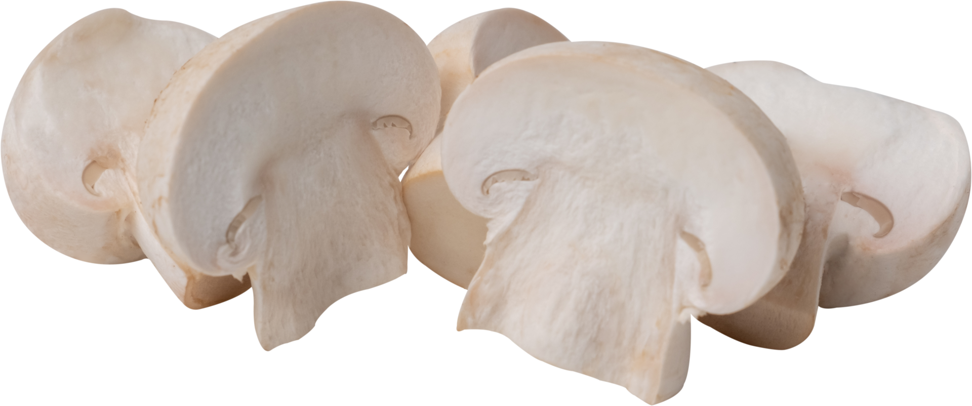cremini mushroom cut out on transparent background. png
