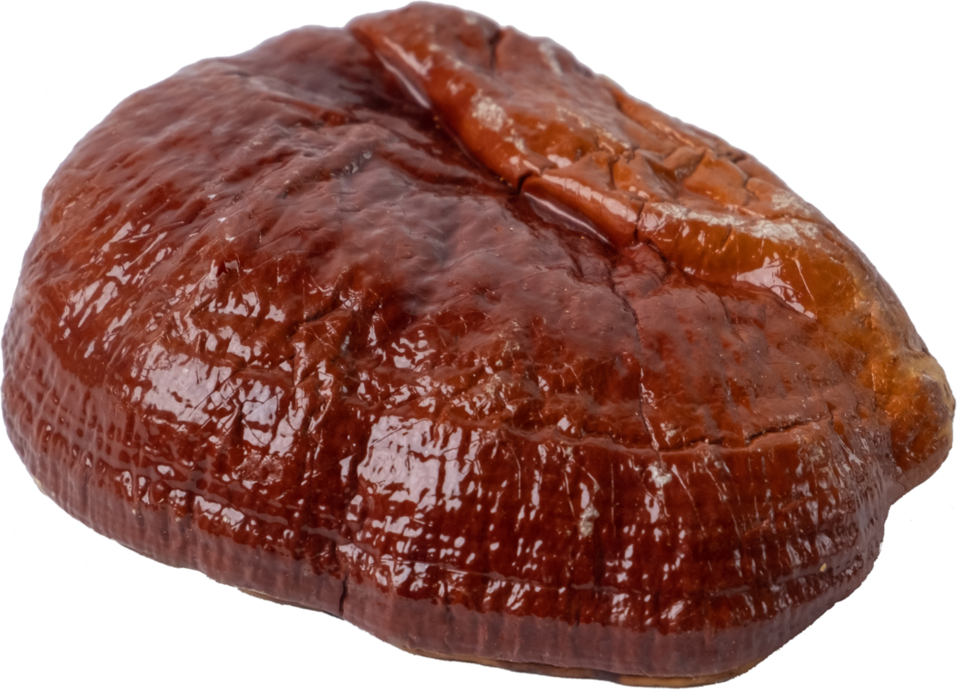 Reishi Pilz Schnitt aus auf transparent Hintergrund. png