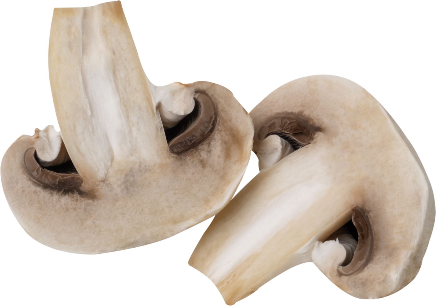 cremini mushroom cut out on transparent background. png