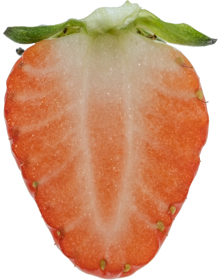 strawberry cut out on transparent background. png
