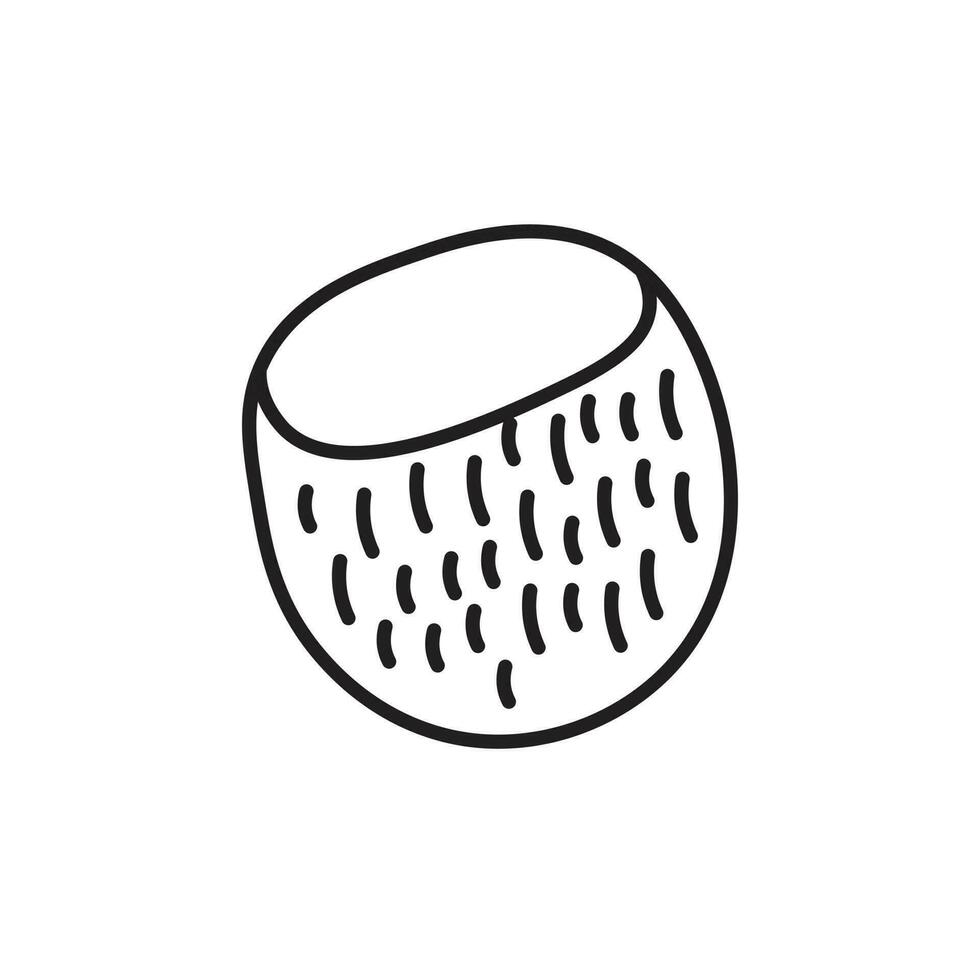 Doodle line art coconut illustration isolated. Line art style cocoa nut. vector