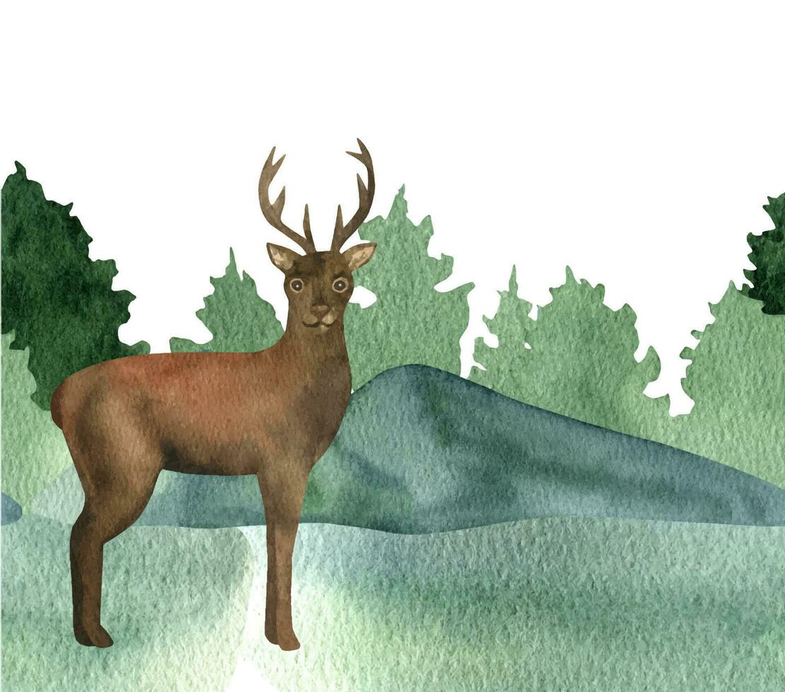 Hand drawn watercolor standing brown deer on forest. Realistic animal on green seamless background. vector