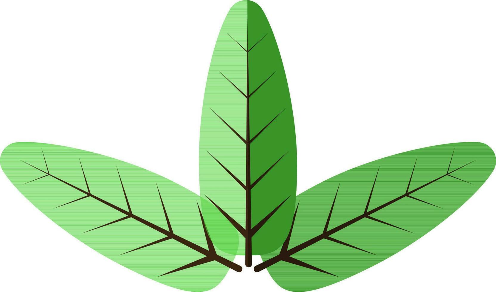 Image of three green leaf icon with half shadow. vector