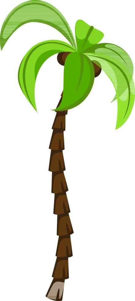 Illustration of a coconut tree. vector