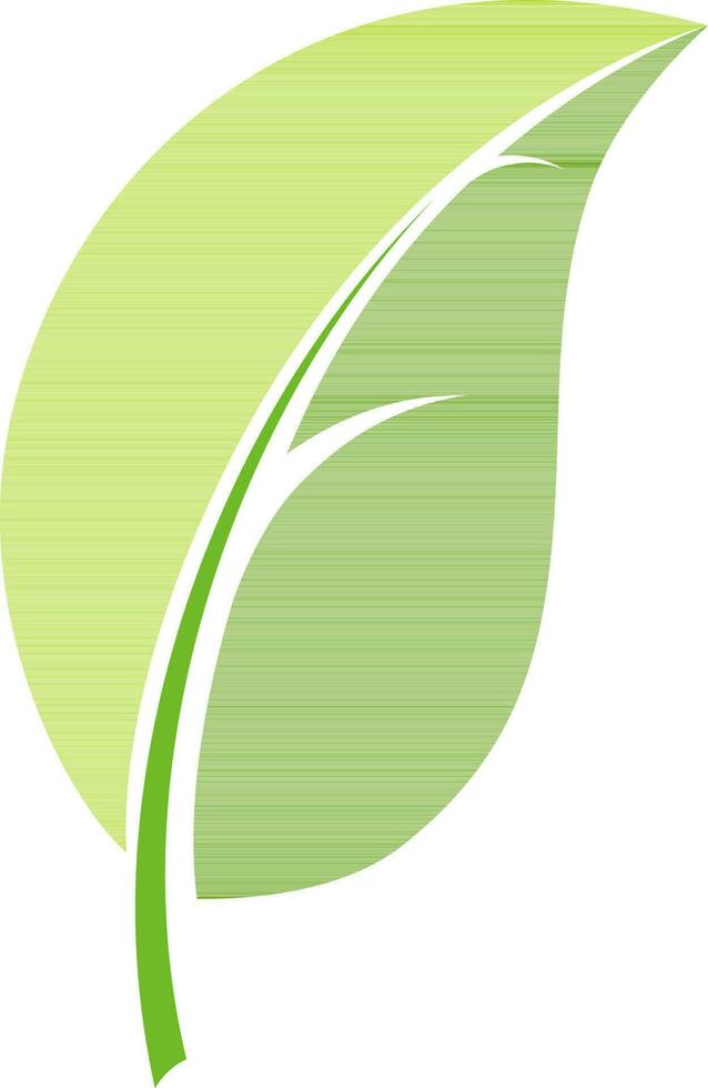 Flat style illustration of green leaf. vector