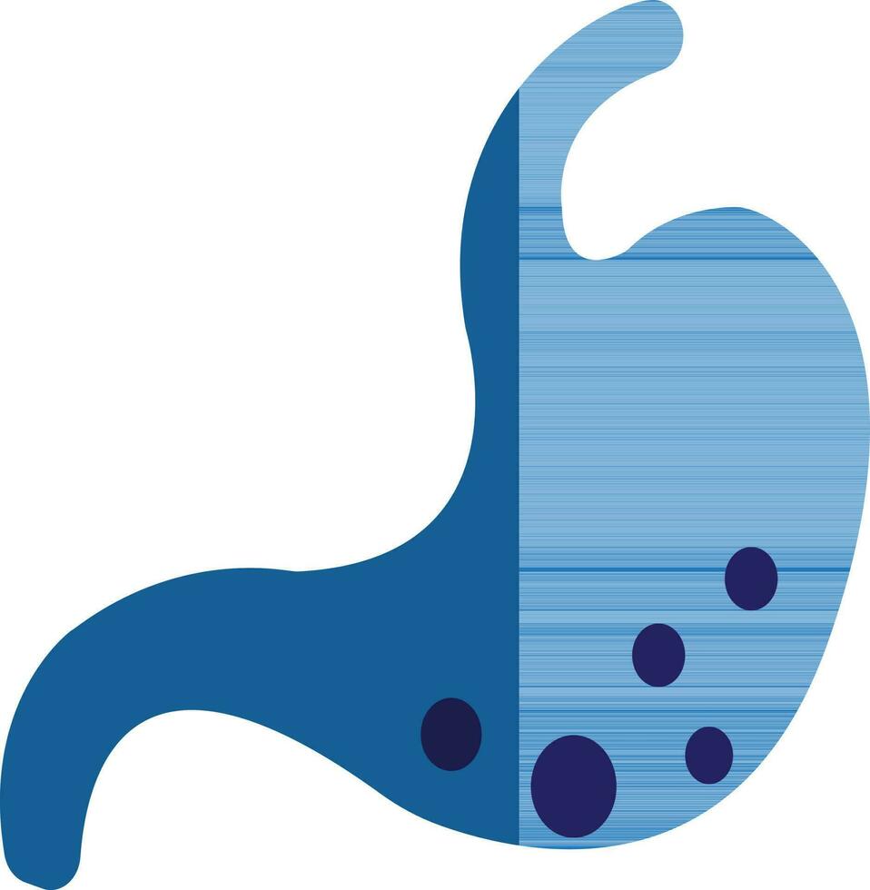 Blue stomach on white background. vector