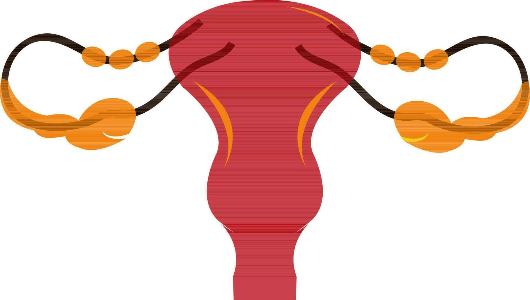 Red and orange uterus. vector