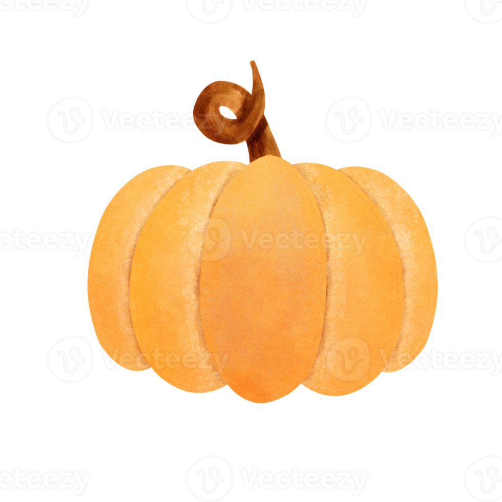 fresco arancia zucca png