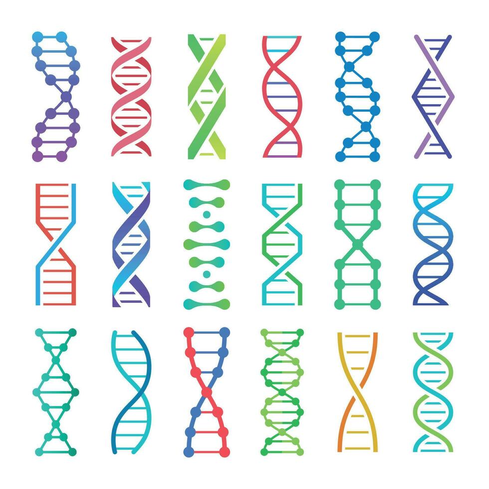 Colorful DNA icon. ADN structure spiral, deoxyribonucleic acid medical research and human biology genetics code vector icons set