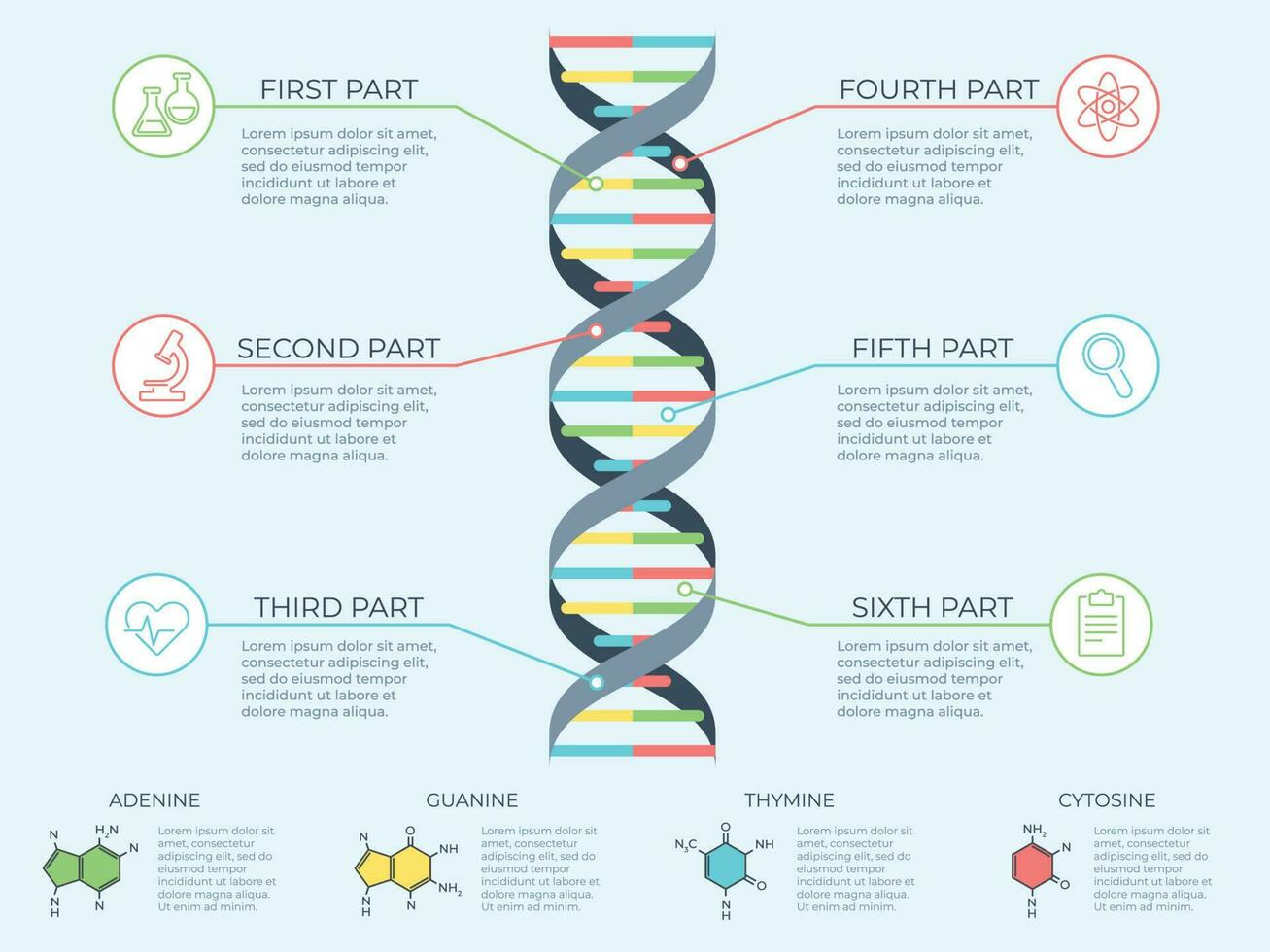 DNA infographic. Genetic spiral, genomic model molecule diagram and adn pattern structure chart vector concept illustration