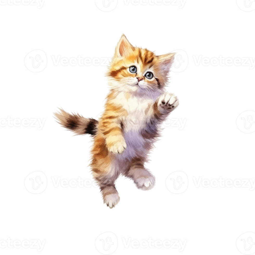 Watercolor painting of Cute Persian Kitten isolated transparent background, Digital art, image file format, , png