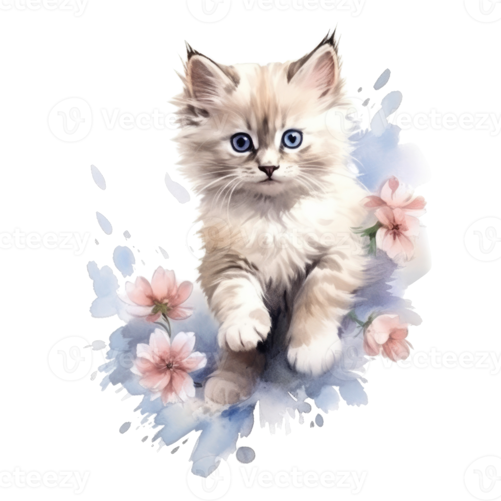 Watercolor painting of Ragdoll Kitten isolated transparent background, Digital art, image file format, png