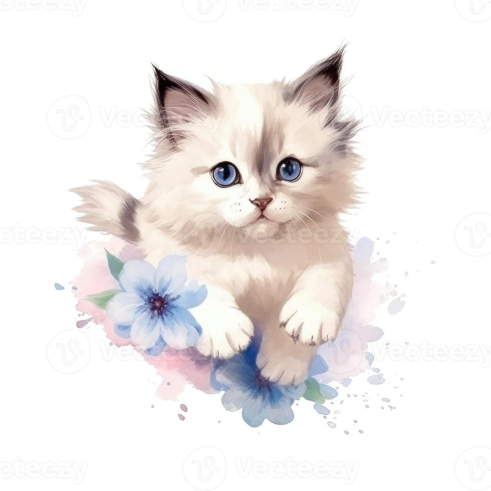 Watercolor painting of Ragdoll Kitten isolated transparent background, Digital art, image file format, png