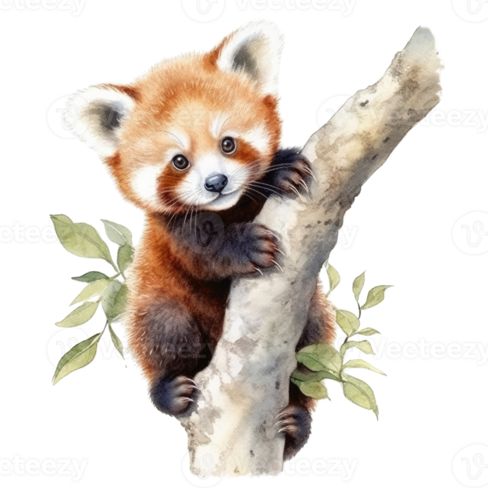Watercolor painting of cute animal red panda isolated transparent background, Digital art, image file format, png