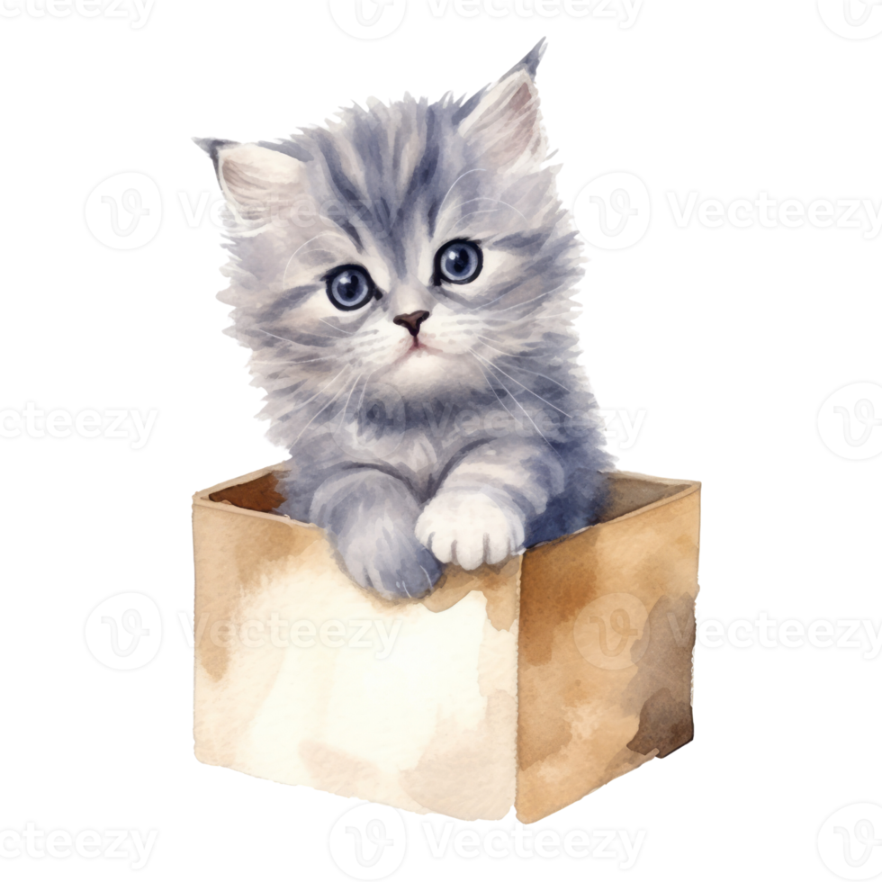 Watercolor painting of Cute Persian Cat isolated transparent background, Digital art, image file format, , png
