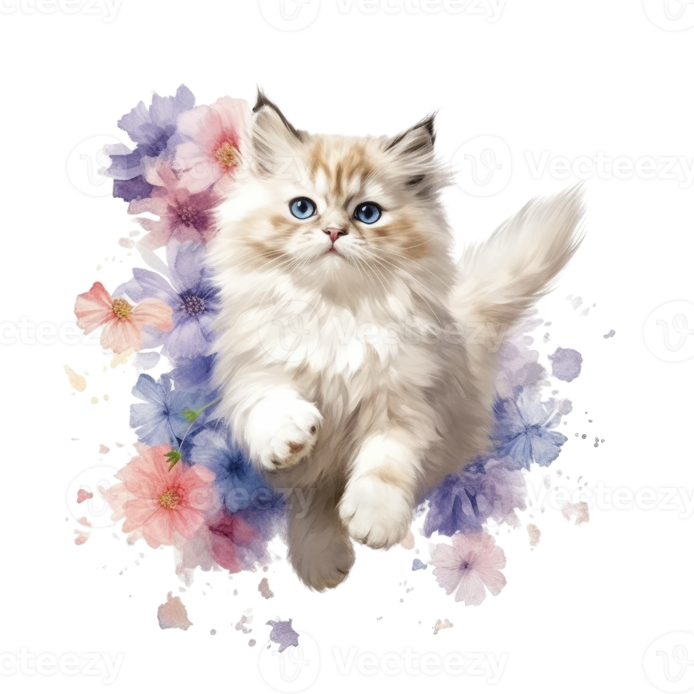 Watercolor painting of Ragdoll Kitten isolated transparent background, Digital art, image file format, png