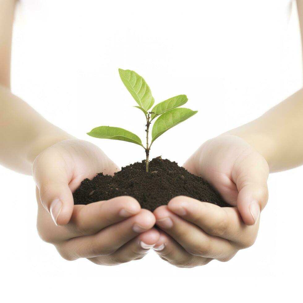 ambiente tierra día en el árbol planta en mano aislado en transparente fondo.bosque conservación concepto, concepto eco tierra día. ahorro el ambiente, ecología concepto, generar ai foto