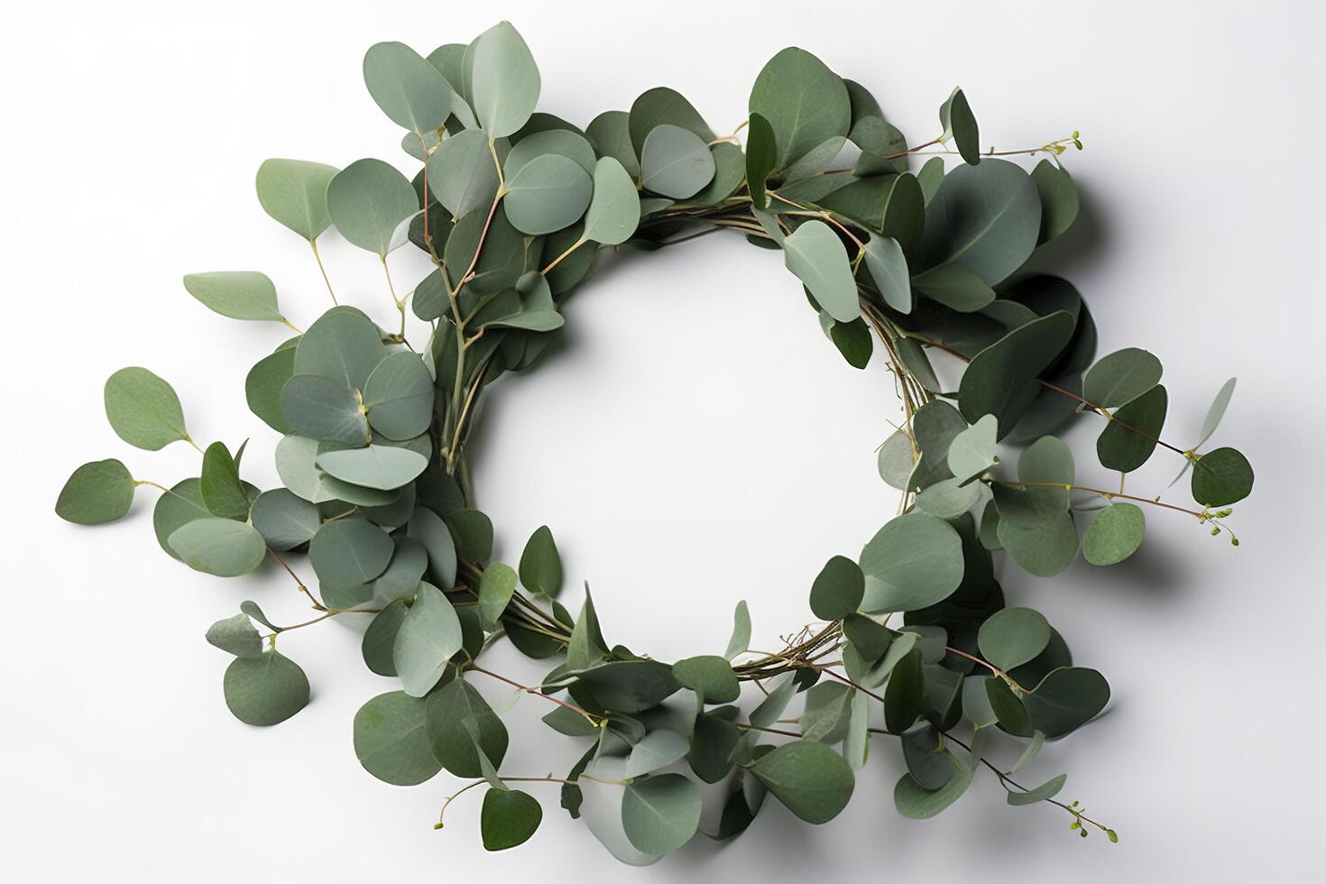 Wreath made of eucalyptus branches. Green floral frame made of eucalyptus leaves. Decorative wreath isolated on white. Minimal natural composition, botanical design, flat lay, top view. photo