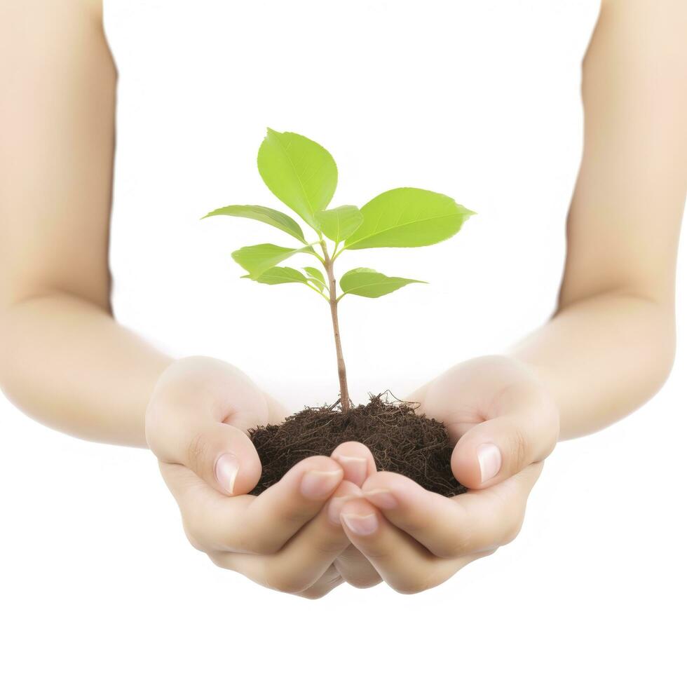 Environment Earth Day In the Tree plant in woman hand isolated on white background. Forest conservation concept, concept eco earth day. Saving the environment, ecology concept, generate ai photo