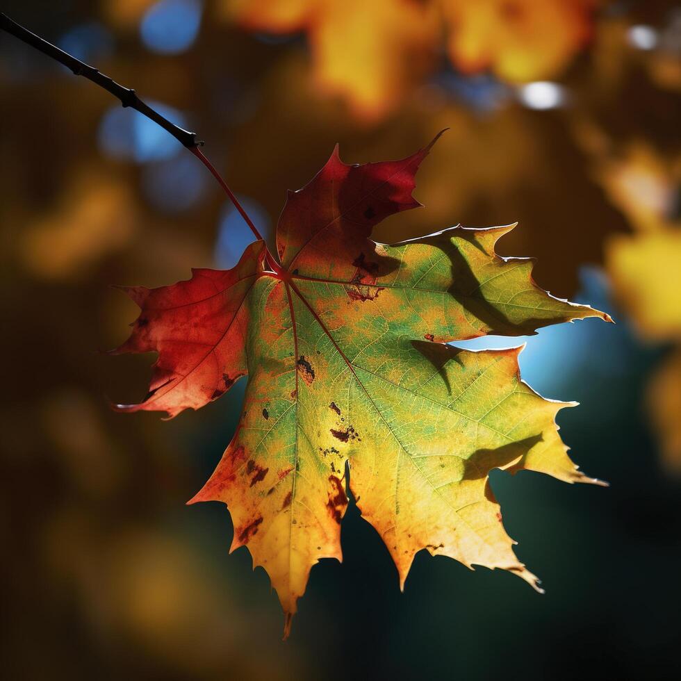 autumn maple leaves in a row, vivid colors, panorama illustration on black background photo