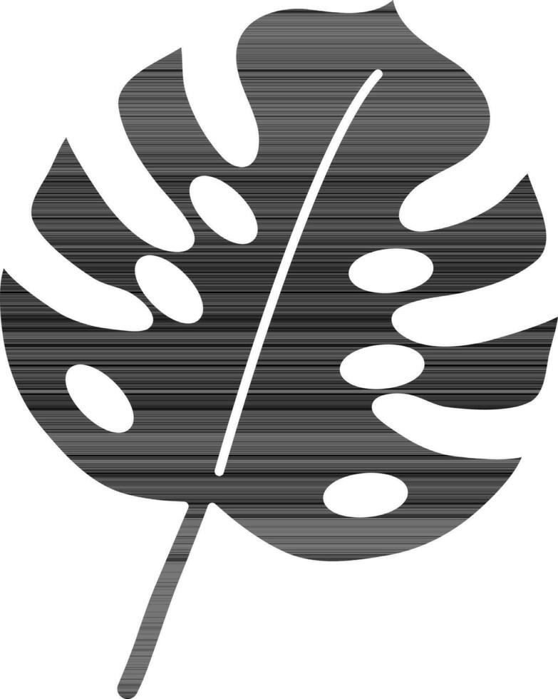 monstera hoja icono en negro y blanco color. vector