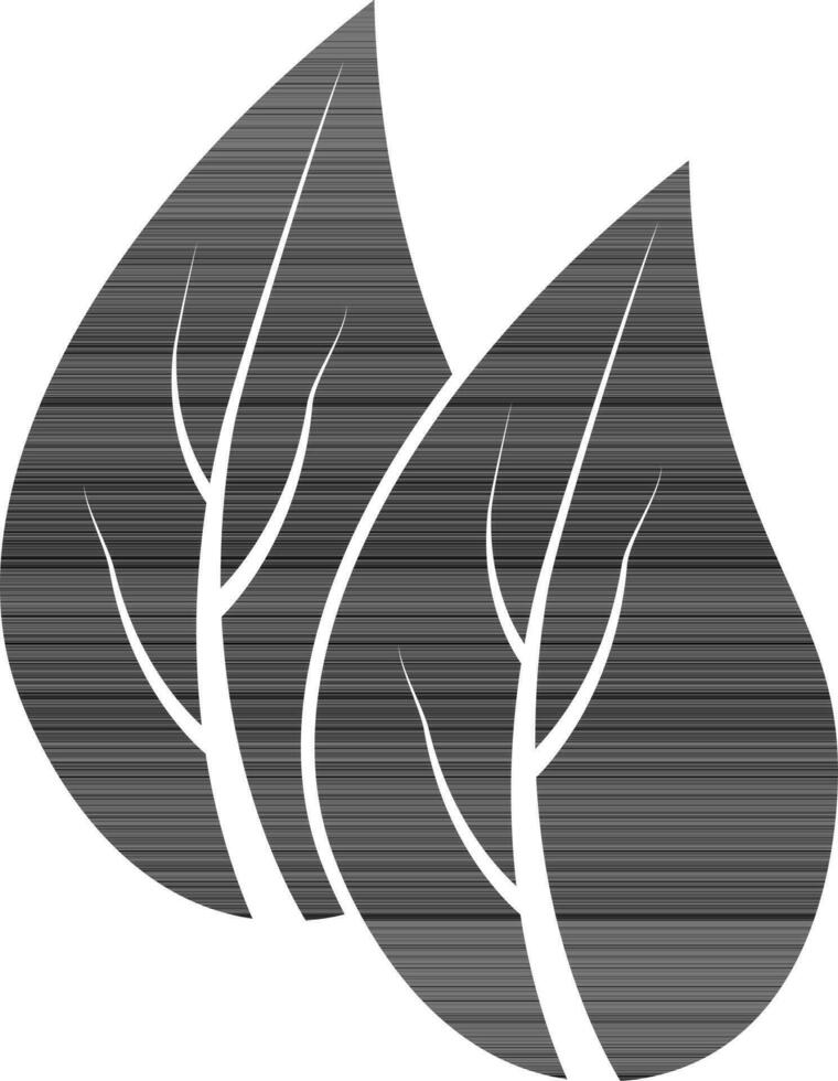 Black and white leaves on white background. vector