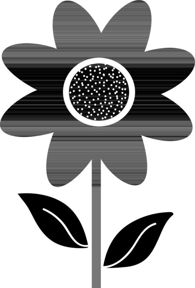 black and white sunflower with leaves on white background. vector