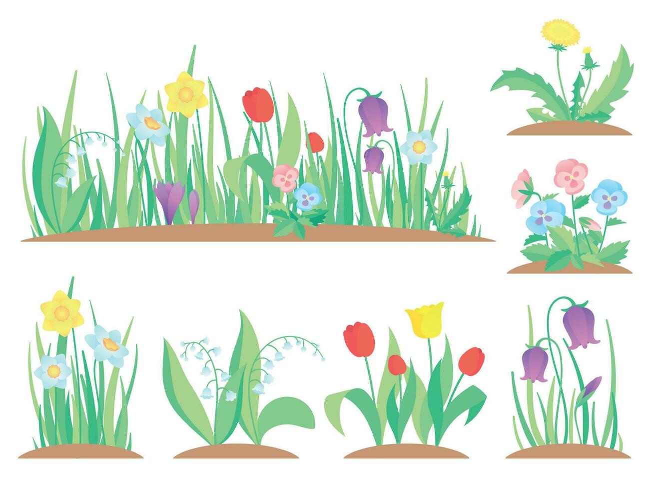 Spring garden flowers. Early flower, colorful gardens plants and flowering plant gardening flat vector illustration