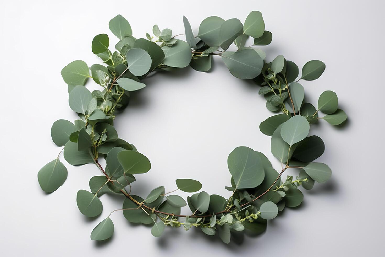 Wreath made of eucalyptus branches. Green floral frame made of eucalyptus leaves. Decorative wreath isolated on white. Minimal natural composition, botanical design, flat lay, top view. photo