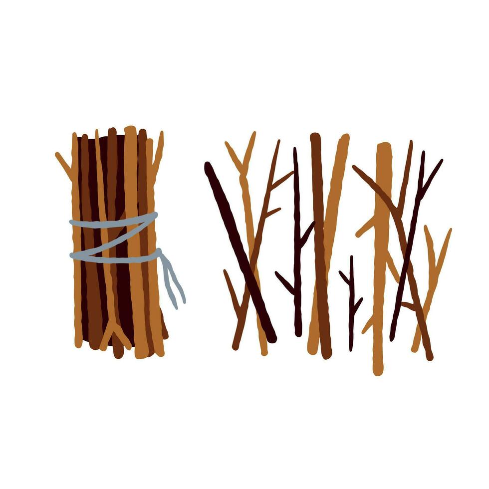 Bundle of firewood. Sticks for lighting a fire. Rustic element isolated on white vector