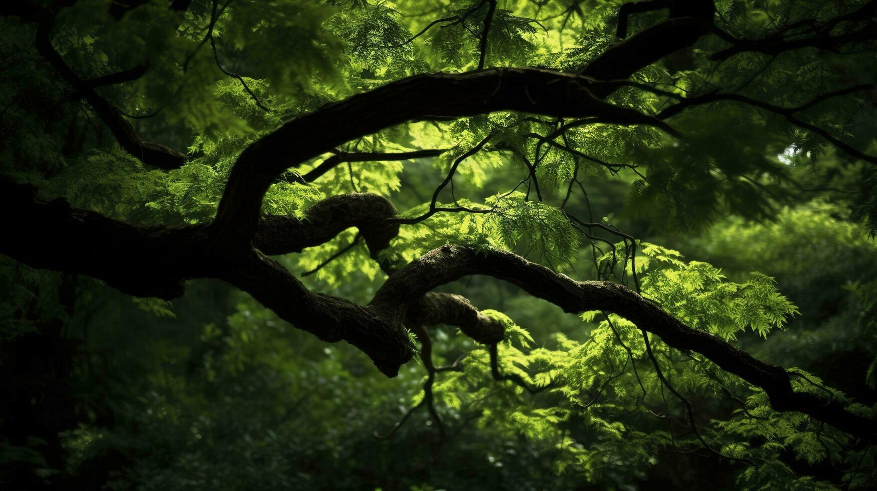 Earth Day and World Environment Day, Spring, Tropical tree leaves and branch with beautiful green forest background, generate ai photo