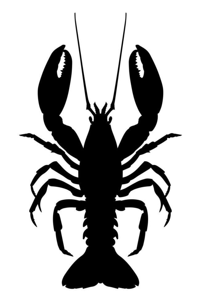 Lobster silhouette isolated on white background. Vector illustration