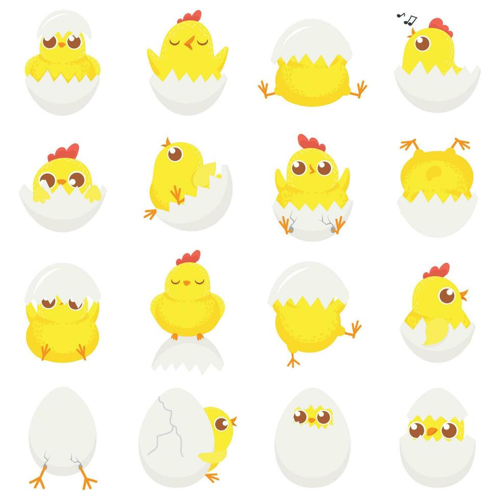 Cute chicken in egg. Easter baby chick, newborn chickens in eggshell and farm kids chicks isolated cartoon vector illustration set
