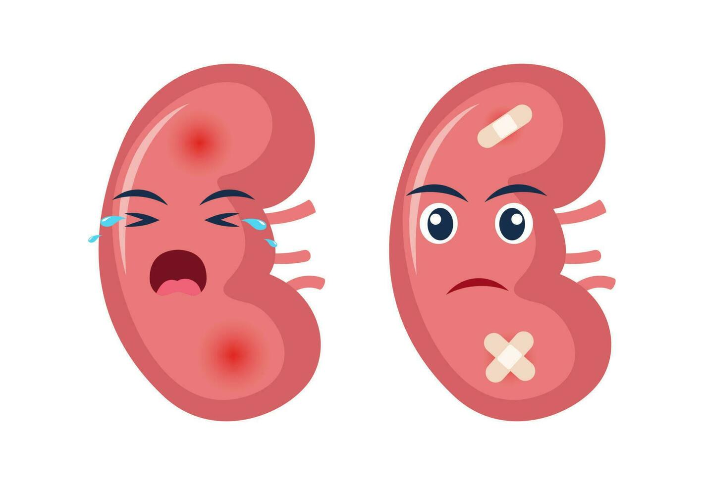 enfermo riñón con dolor dolor o enfermedad. triste dibujos animados personaje riñón, cuerpo Organo lesionado o insalubre. humano dibujos animados anatomía, niños medicamento. vector ilustración.