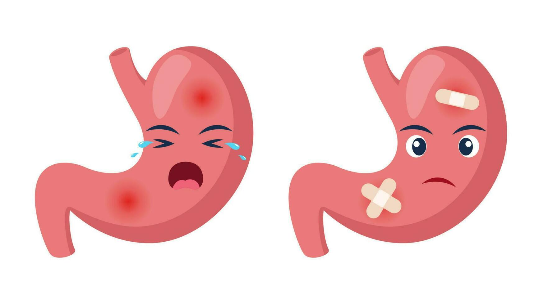 enfermo estómago con dolor dolor o enfermedad. triste dibujos animados personaje estómago, cuerpo Organo lesionado o insalubre. humano dibujos animados anatomía, niños medicamento. vector ilustración.