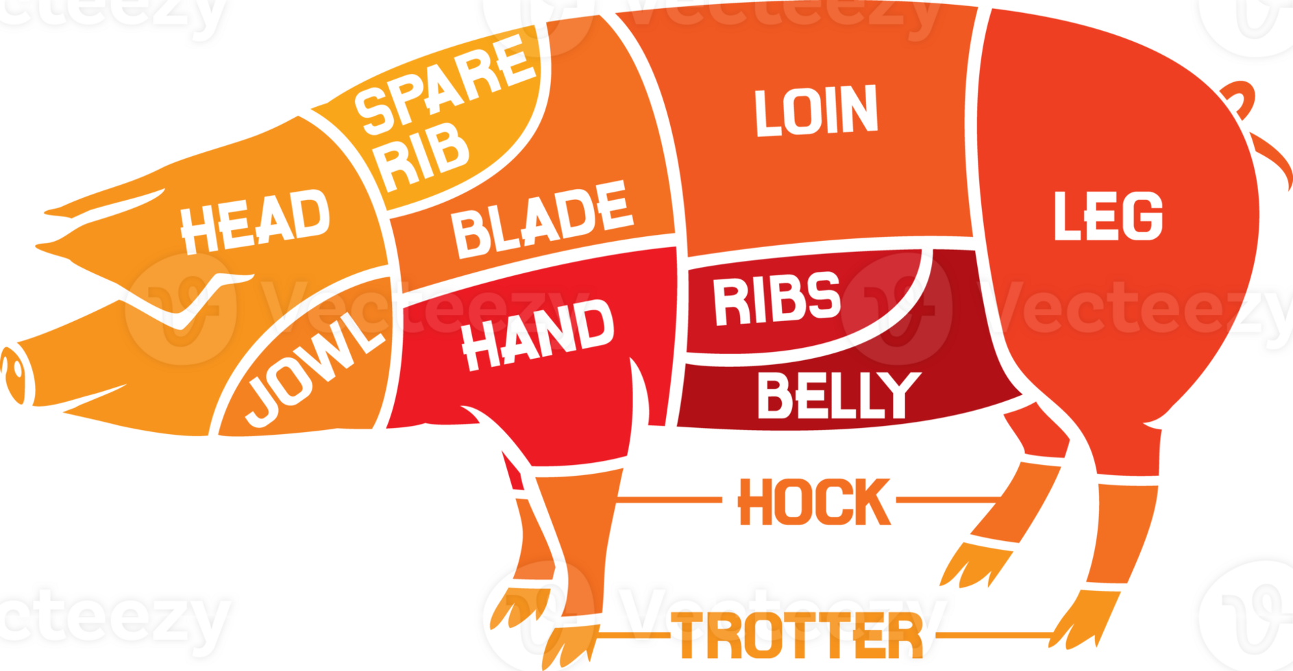 Cuts of Pork - Meat Diagrams PNG Illustration