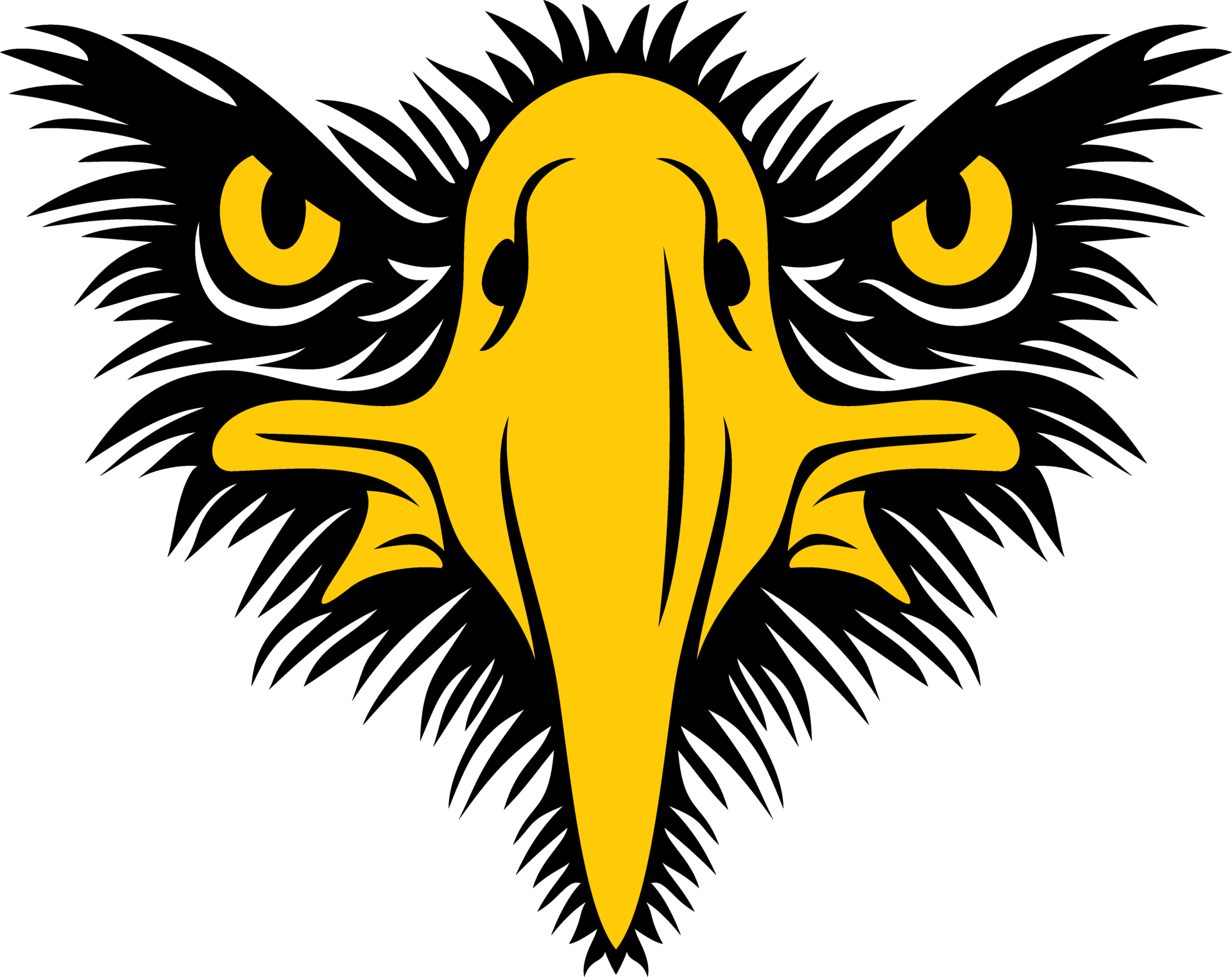 Eagle Face Front View PNG Illustration 24391670 PNG
