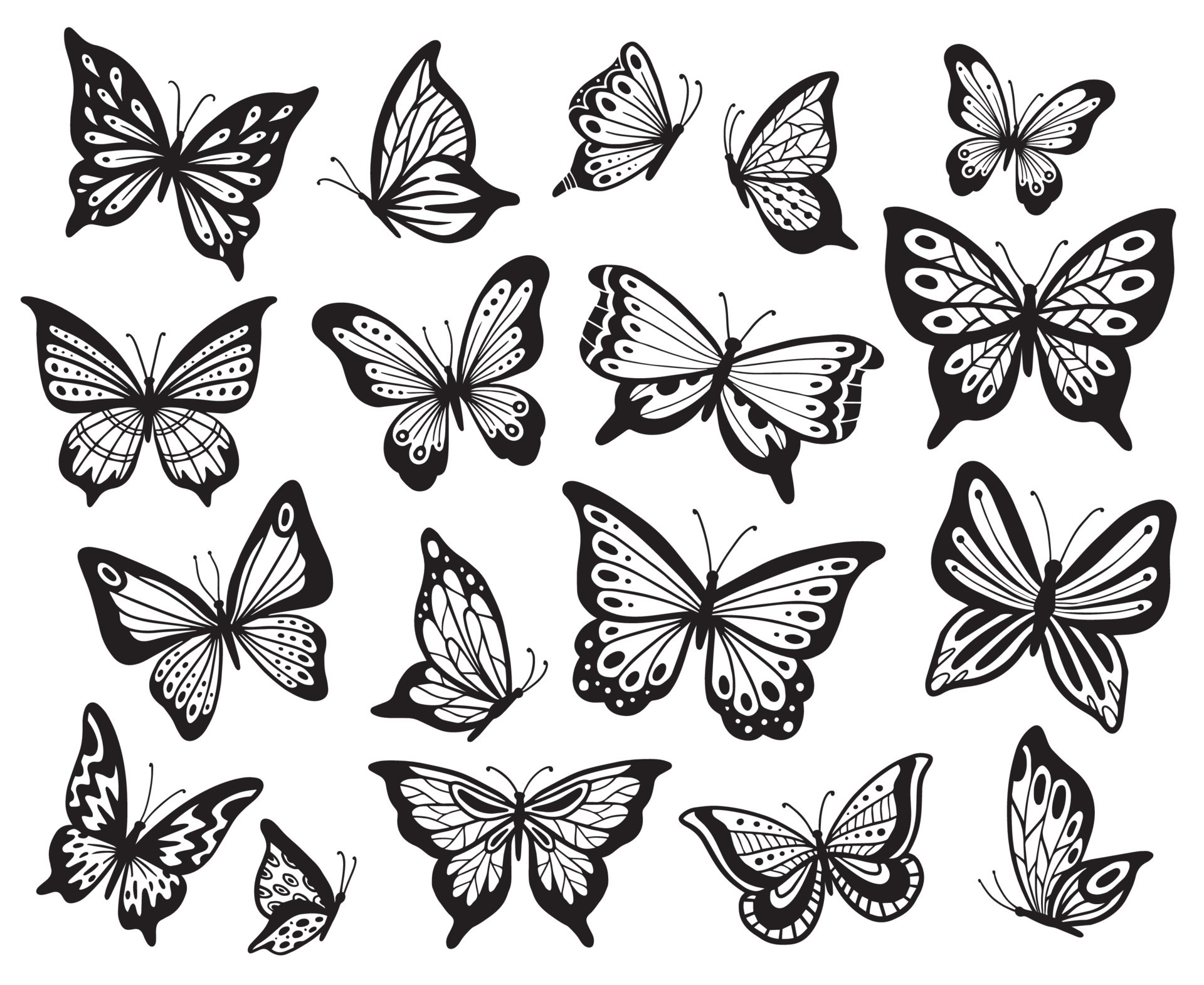 Drawing butterflies. Stencil butterfly, moth wings and flying insects