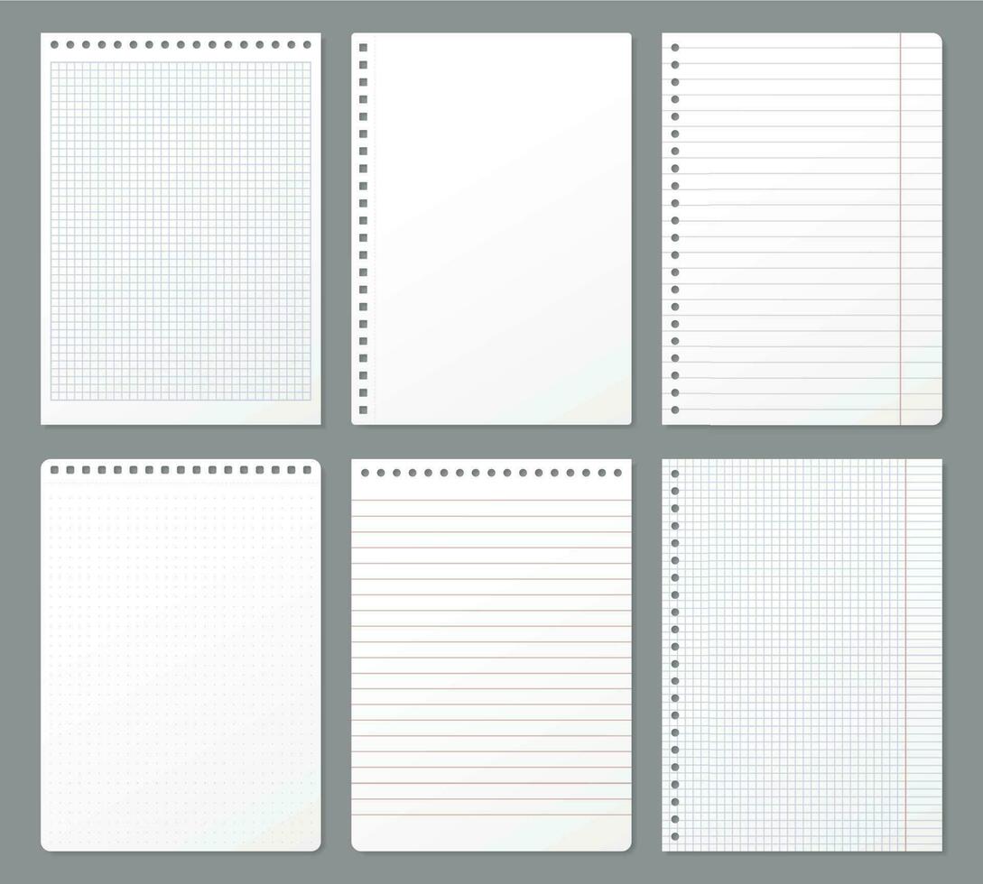 Notebook sheet. Sheets torn from notebook, paper note lined page and copybook notepad padded paper vector illustration set