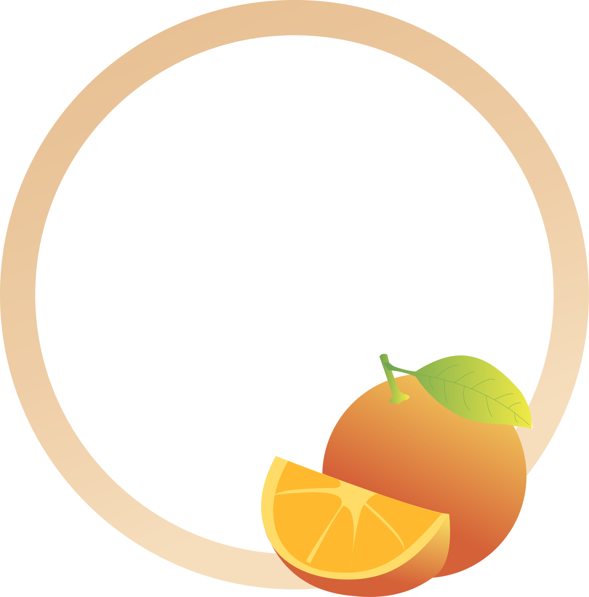 44 393 Orange Tablet - 6nv7r2k