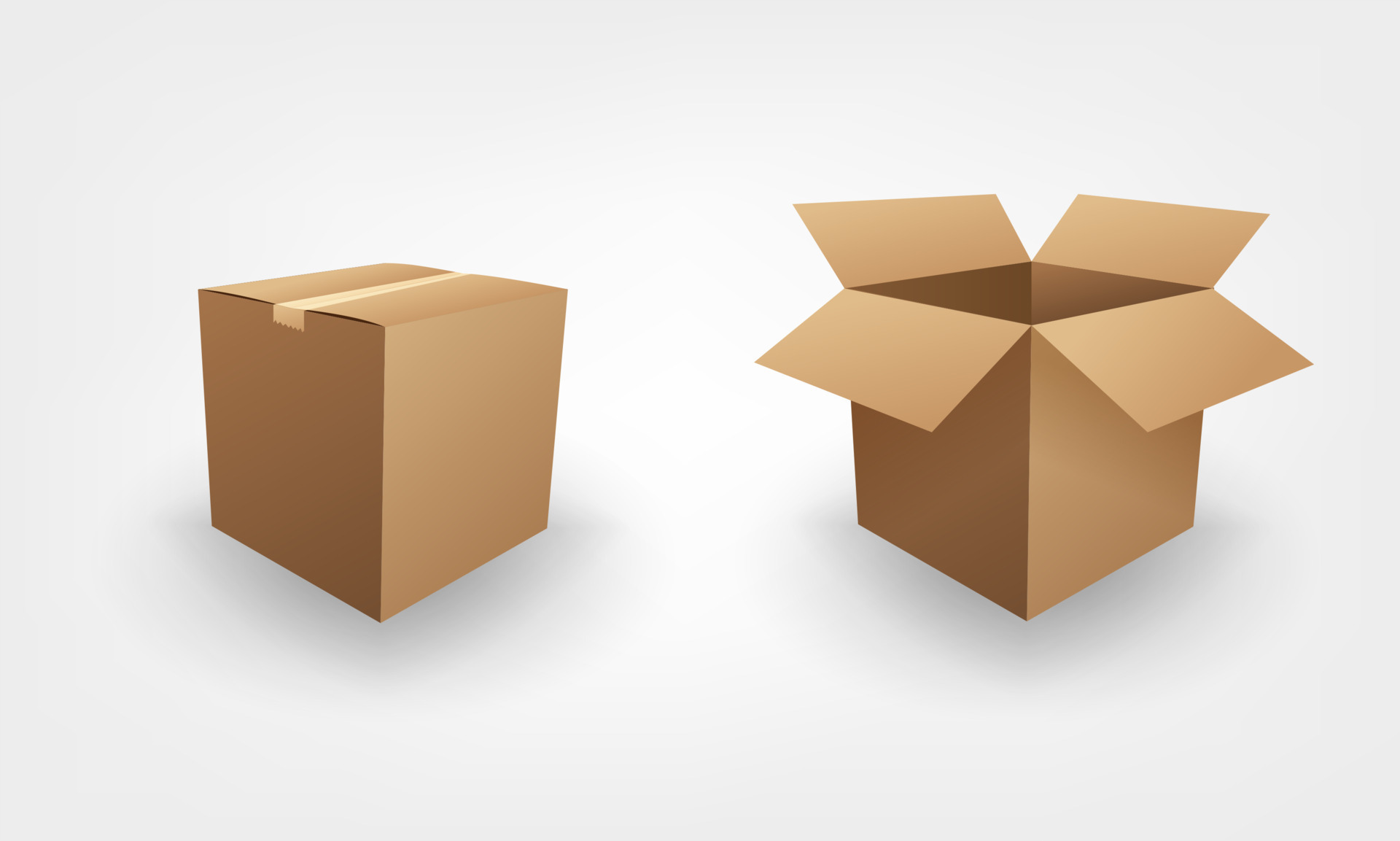Blank Open And Closed Brown Box Package Business Concept, Vector